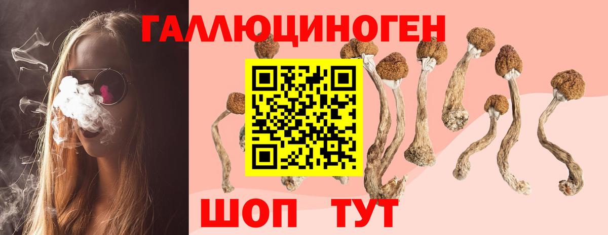 Псилоцибиновые грибы мухоморы  Вход с VPN  Каменск-Уральский  Псилоцибиновые грибы Psilocybine cubensis 