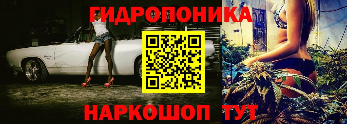 Марихуана индика  Вход с VPN  Бошки марихуана марихуана  Каменск-Уральский  Каннабис AK-47 
